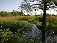 NL, Utrecht, Maarssen, Tienhoven 2, Foto Fitis-Sytske Dijksen